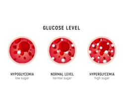 What To Do if Blood Glucose is Low