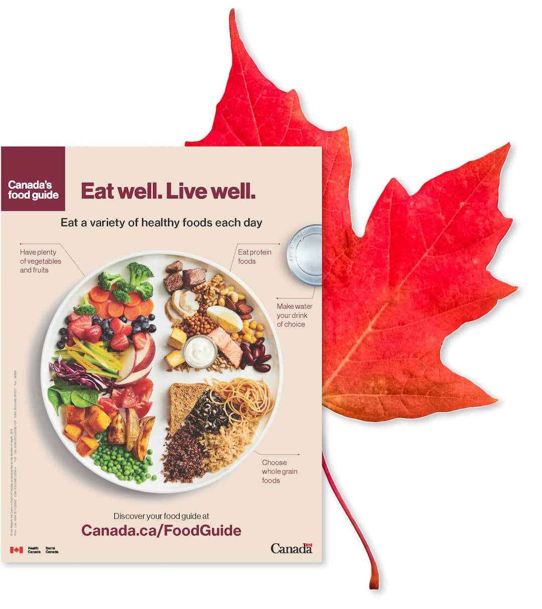 A picture of canada's food guide